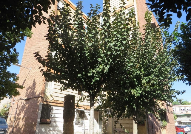 c/ Río Tajo. Polígono La Paz, Murcia, Murcia