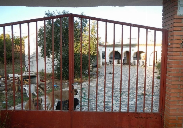 Barrio Viñales, número ochenta y uno, PINSEQUE, Zaragoza