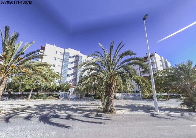 C/BAHIA Nº6, BL 13, PLANTA BAJA, PUERTA 5, LETRA P, ARENALES DEL SOL-ELCHE, Alicante/Alacant