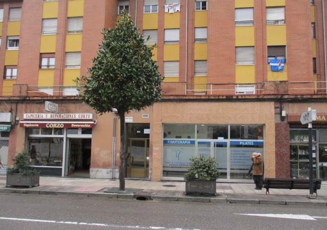 C/ TENDERINA Nº 183, OVIEDO, Asturias