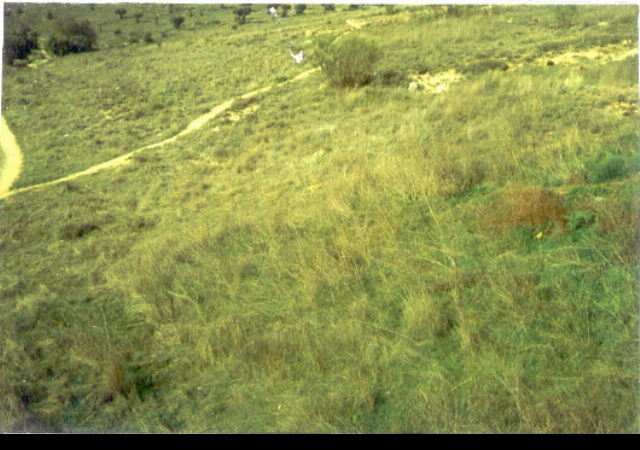 CAMINO VALDEGREDAL 4, CAMPO REAL, Madrid