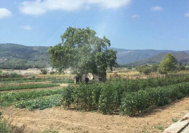 PG 7 PARC 91,PARAJE:TORRES 0, LES BORGES DEL CAMP, Tarragona