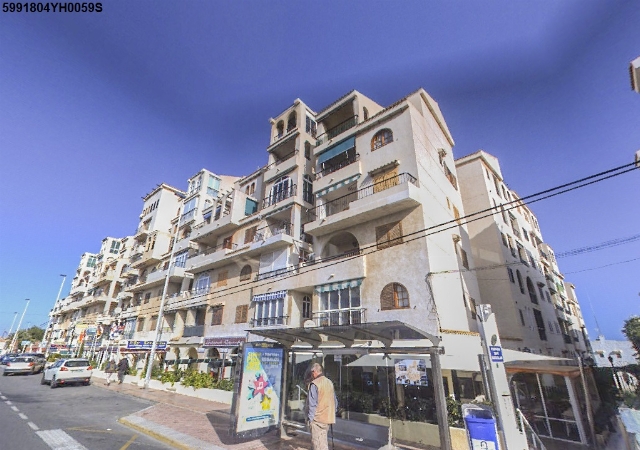 CARRETERA EL TORREJON 4, 3, BAJOS A, RESIDENCIAL TORRELOMAS, TORREVIEJA, Alicante/Alacant