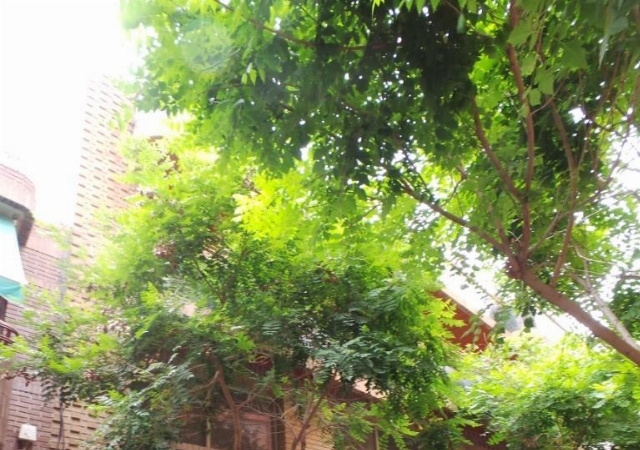 calle. Doctor Trueta, 12, Sant Vicent del Raspeig/San Vicente del Raspeig, Alicante/Alacant