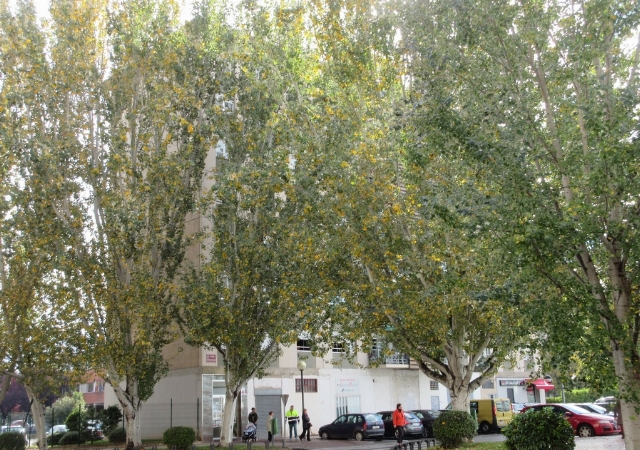 c/OBISPO LEPE Nº 7, 5º B, LOGROÑO, La Rioja