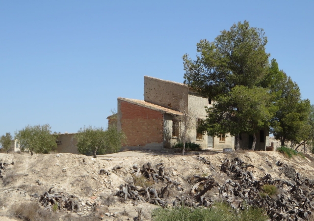 Ds Carrertera de Mula, 26- Polígono 1, Parcela 97 - Cañada del Espino- Cañada Hermosa, MURCIA, Murcia