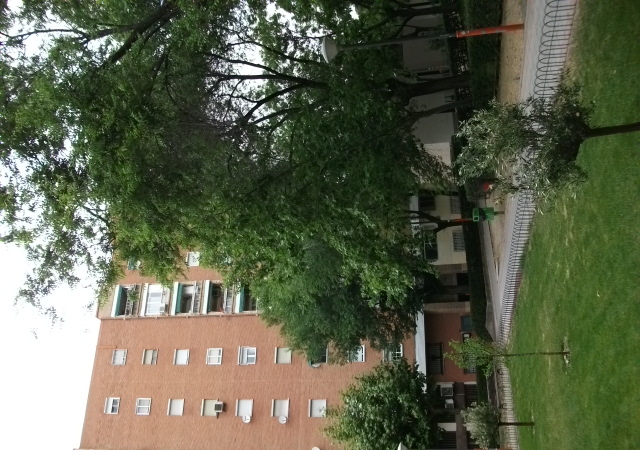 PLAZA MAYOR N.1, 9ºB, Alcorcón, Madrid