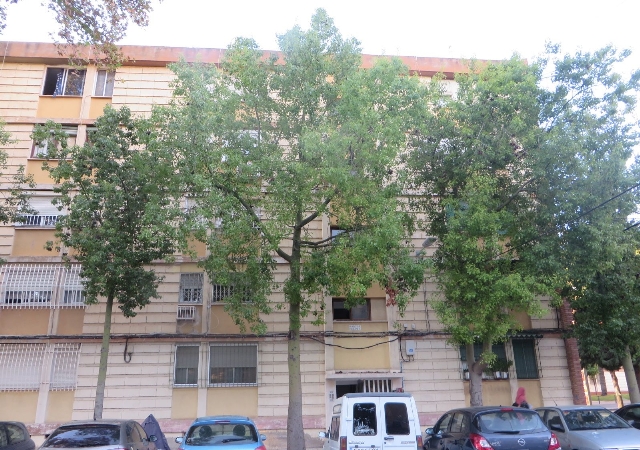 c/ Mariano Herrera, 19, Murcia, Murcia