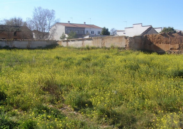 JOSE MARIA RODRIGUEZ MARIN,16, ARGAMASILLA DE CALATRAVA, Ciudad Real