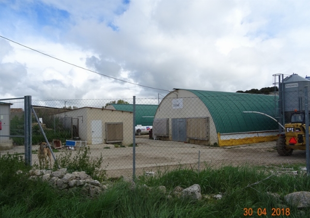 Ruedo del Pueblo, Valverde de Campos, Valladolid