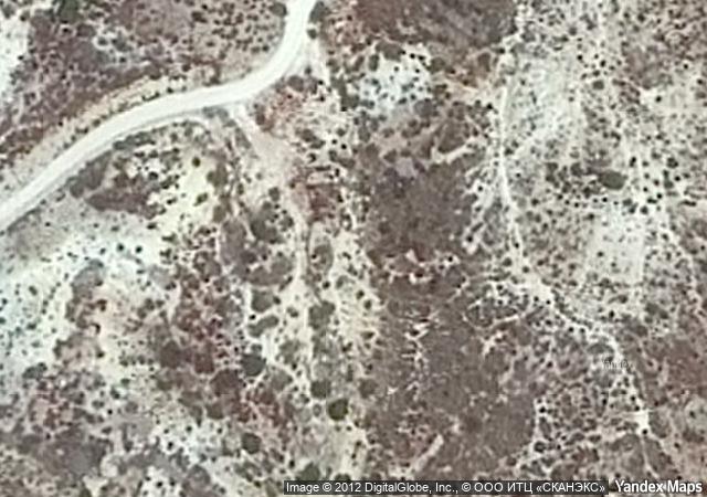 Subasta de Finca rústica en Alicante/Alacant - SubastaFácil