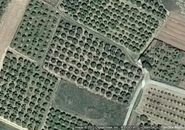 Subasta de Finca rústica en Valencia/València - SubastaFácil