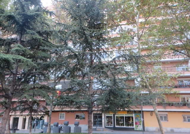 AV. JUAN CARLOS I, 44 1º D, LEGANÉS, Madrid