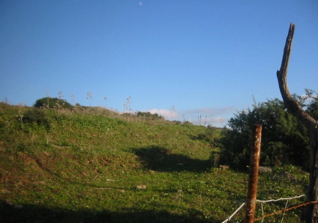 , ALGECIRAS, Cádiz